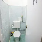Apartamento Summer Room-1 Bedroom Privite Use Center Pusztavacs